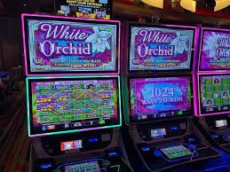 648bet